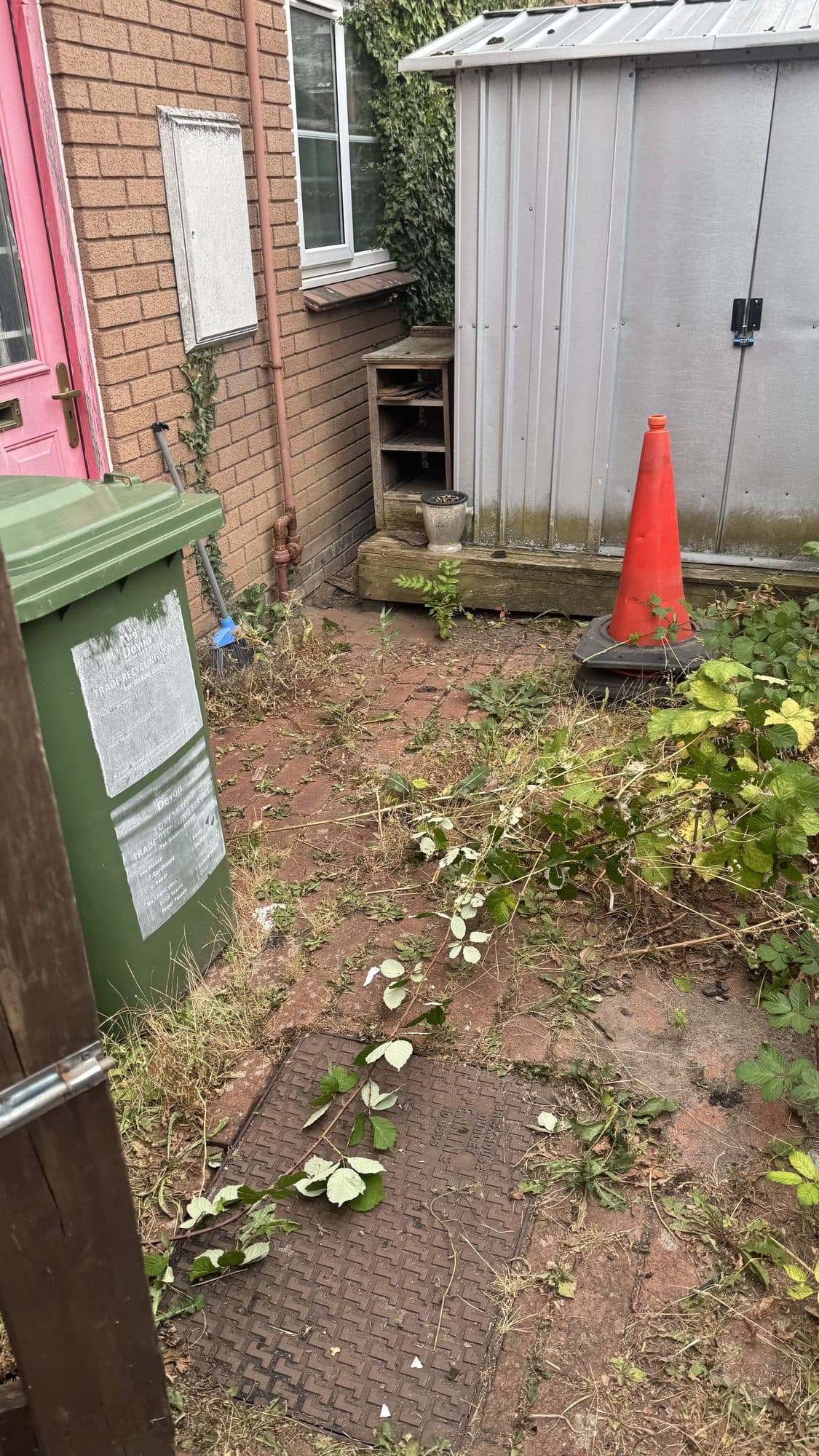Shed & Side Yard Clearance before