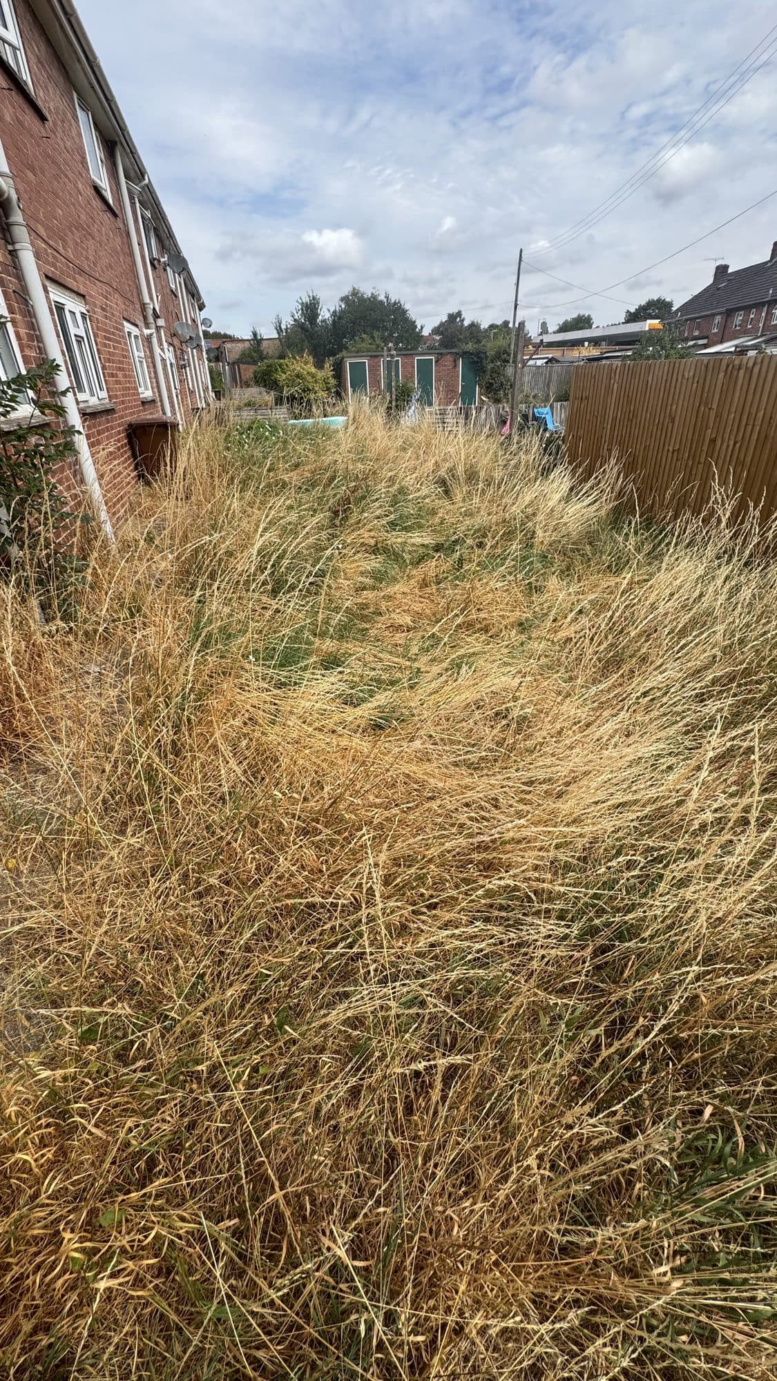 Overgrown Rear Strip Clearance