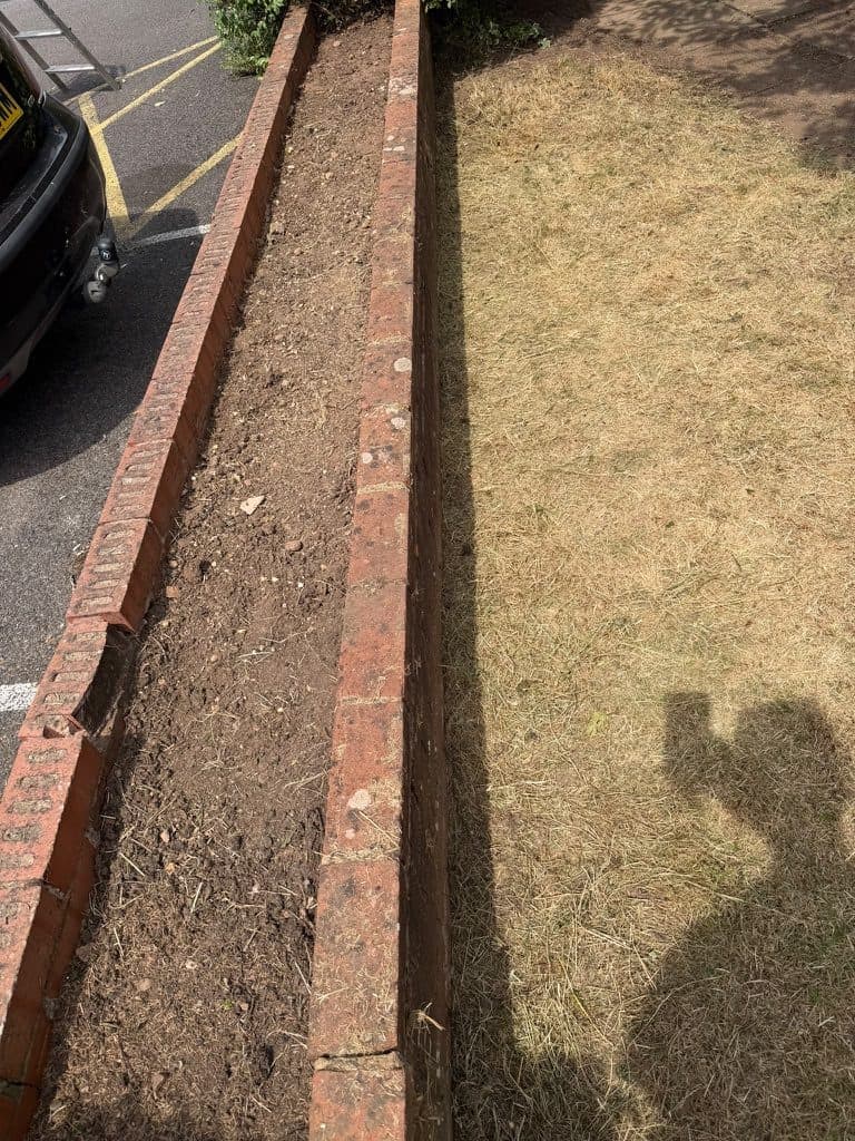 Garden Border Preparation