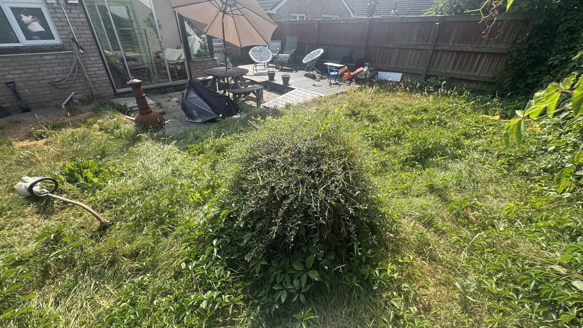Overgrown Back Garden Tidy-Up before