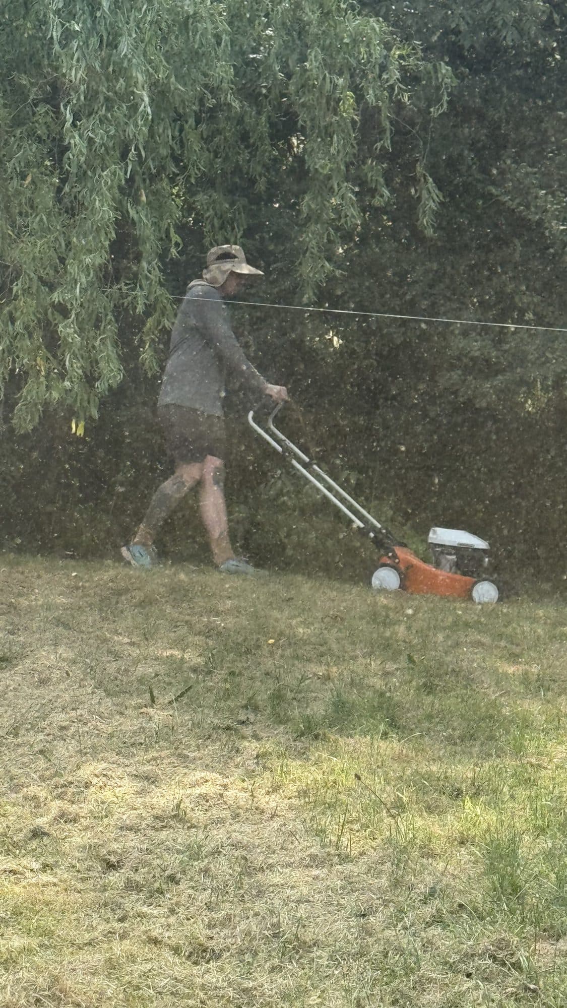 Tree-Lined Garden Maintenance