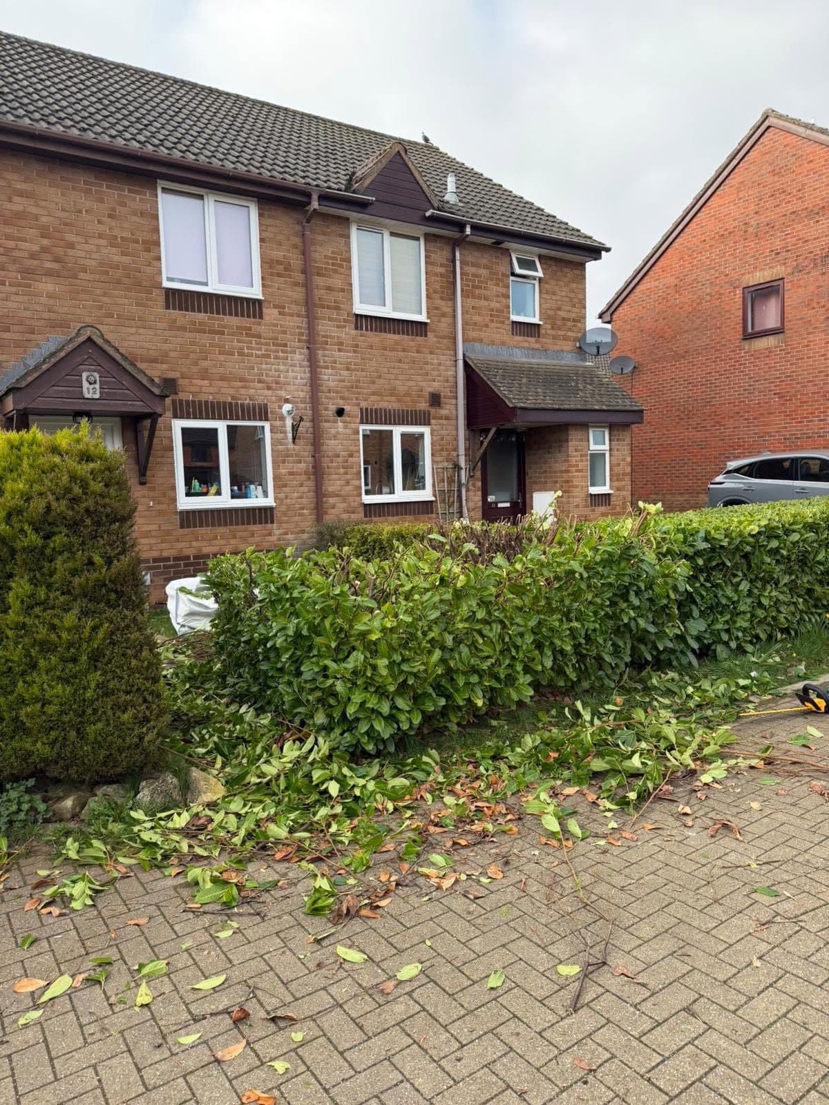 Hedge cutting and maintenance