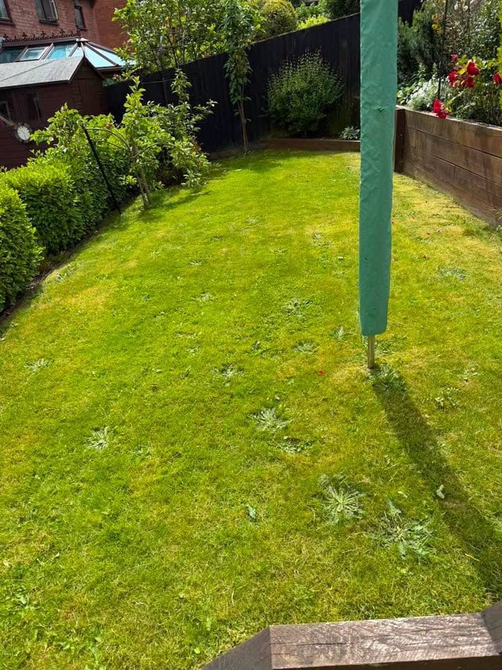Lawn Care