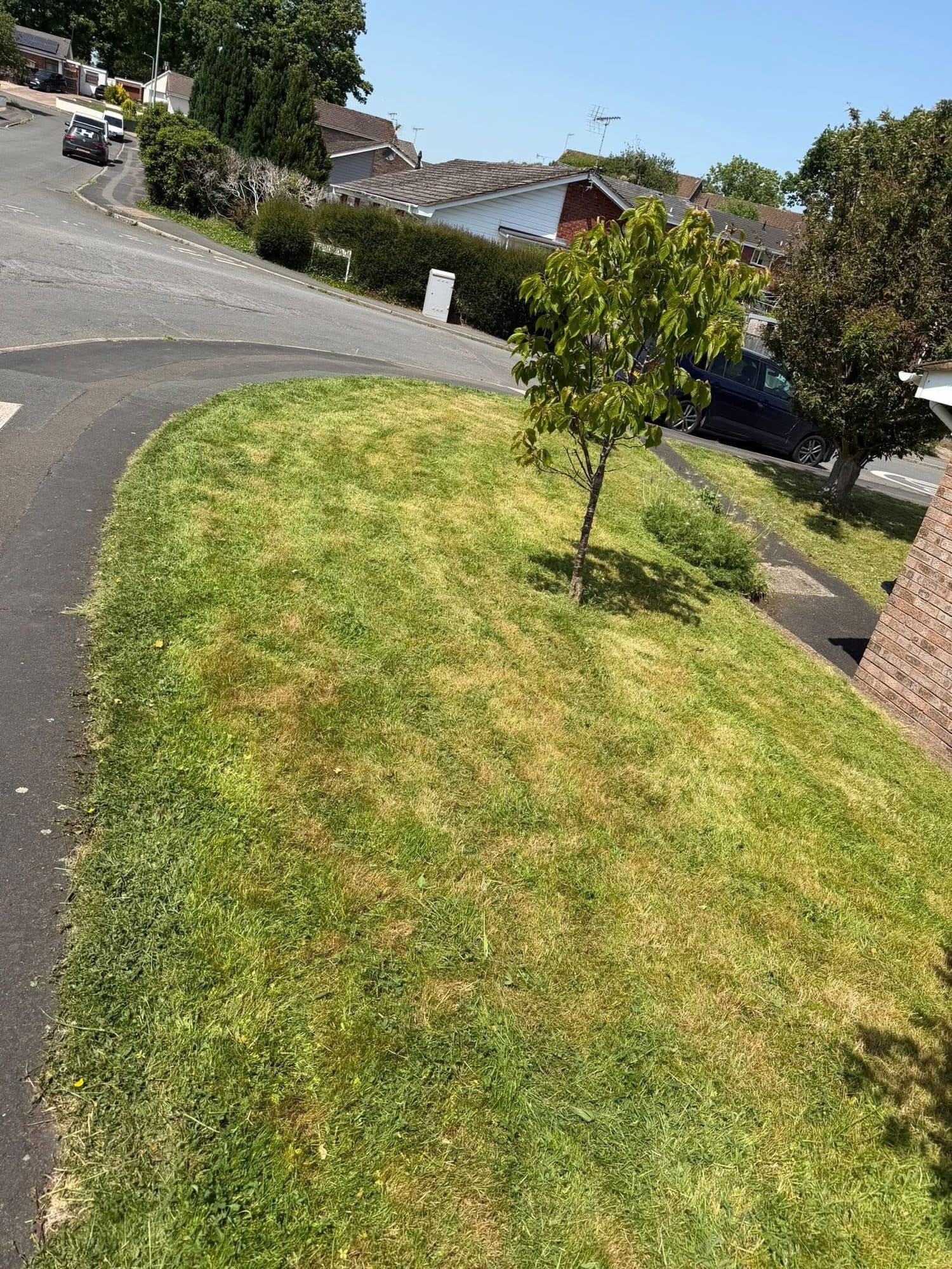 Front Lawn Maintenance