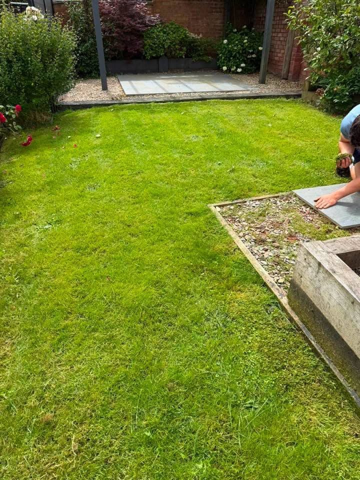 Lawn Care