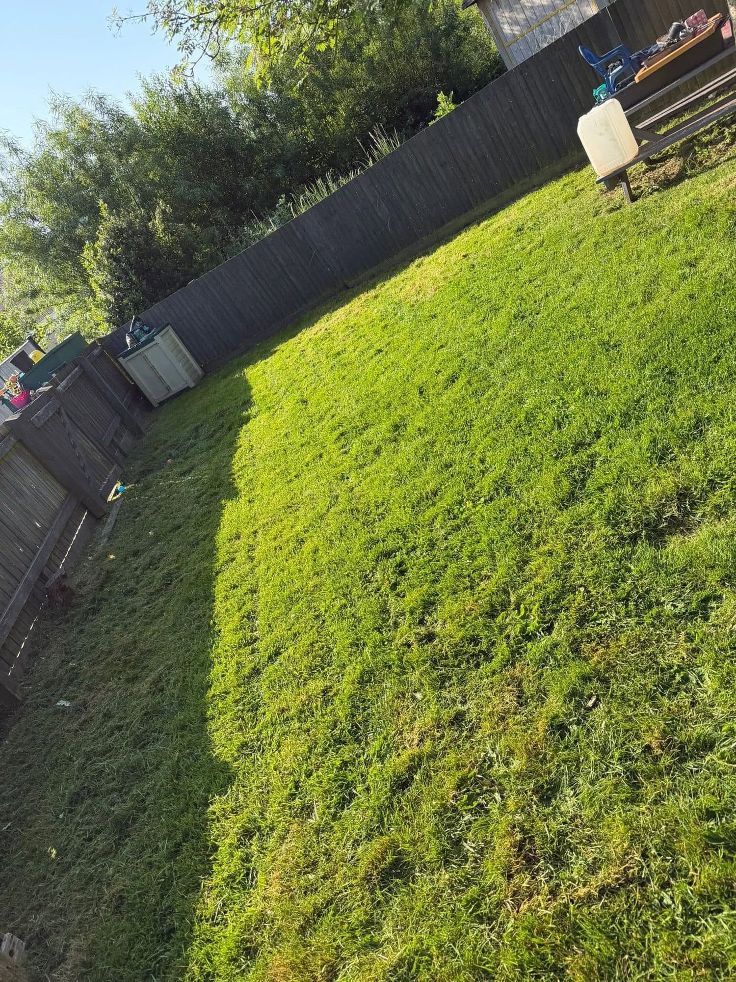 Lawn Care