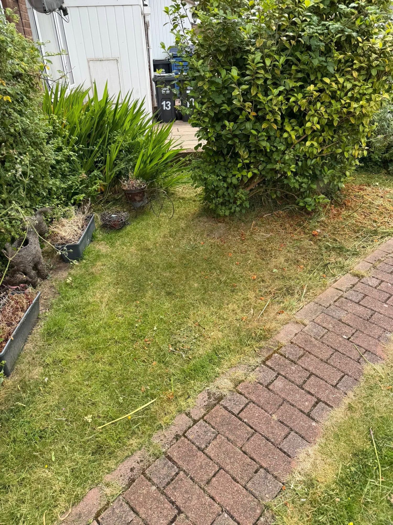 Garden Maintenance