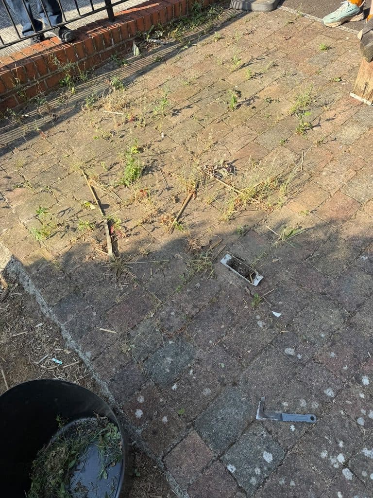 Patio Weed Clearance