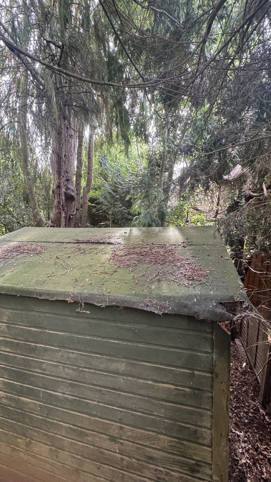 Woodland Shed Roof Repair before