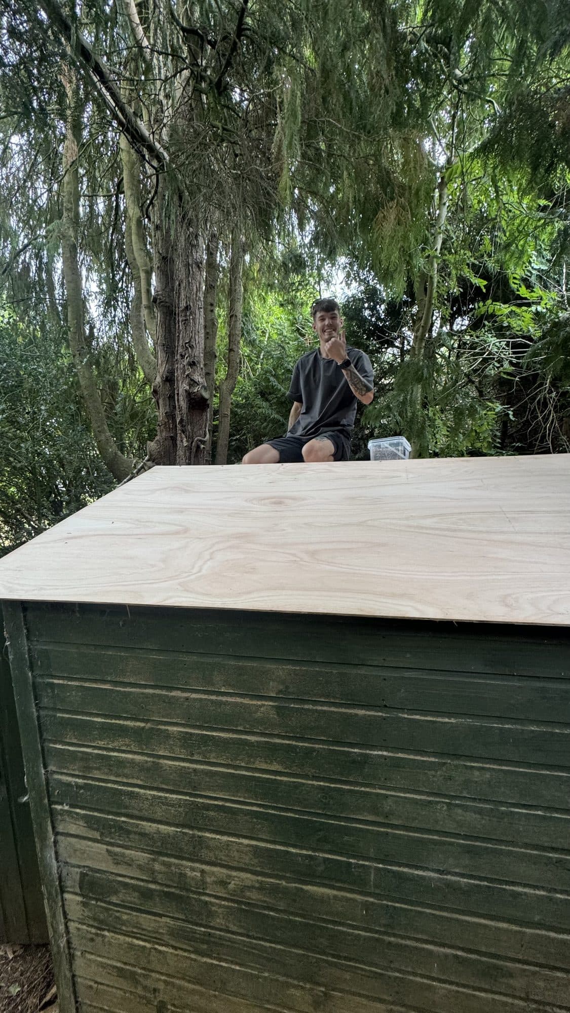 Woodland Shed Roof Repair after